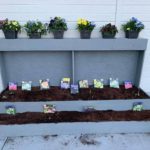 wooden raised planter bed
